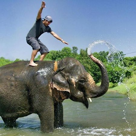 Hotel Royal Safari Chitwan Dış mekan fotoğraf